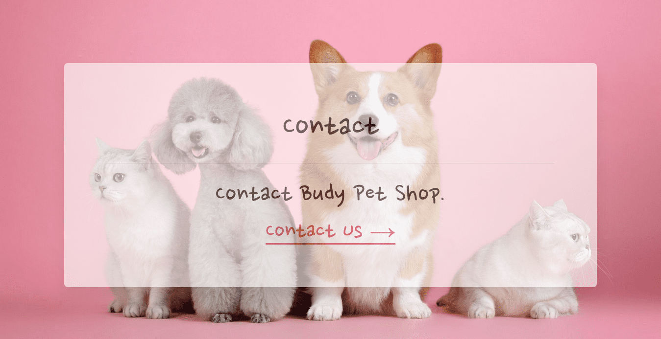pembuatan website pet shop